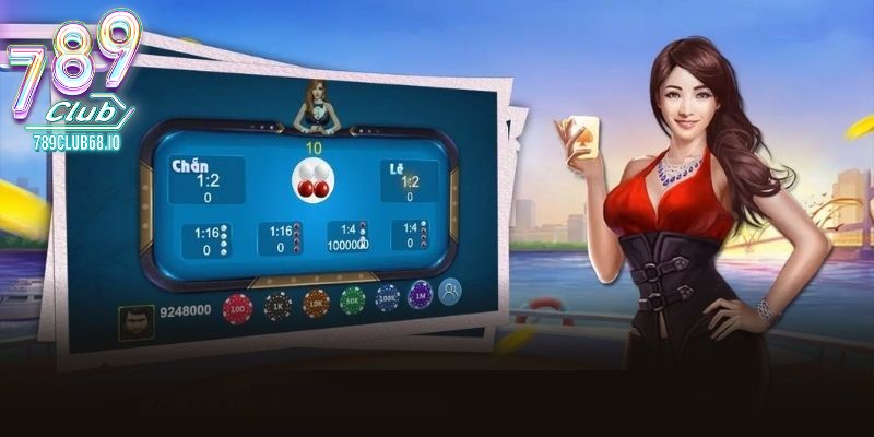 cach bat cau xoc dia khong qua kho de thuc hien Cách bắt cầu Xóc đĩa không quá khó để thực hiện